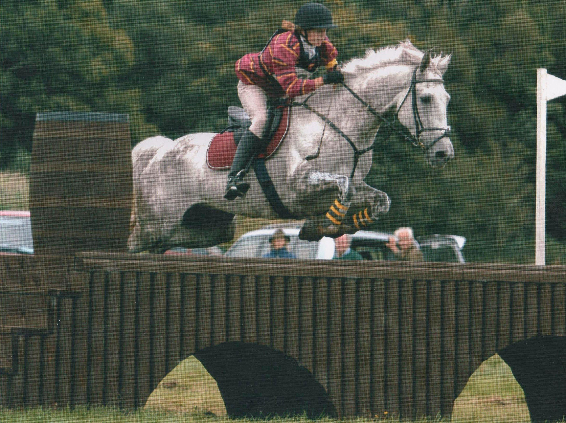 grey horse jumping a cross country jump