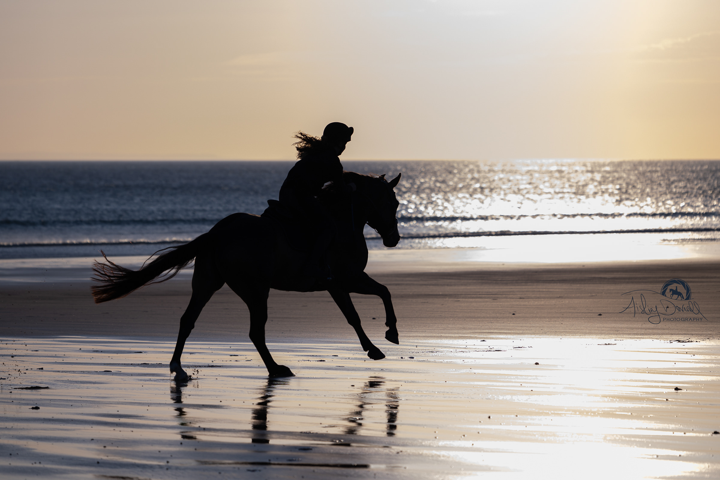Horse and rider galloping on a beach during golden hour