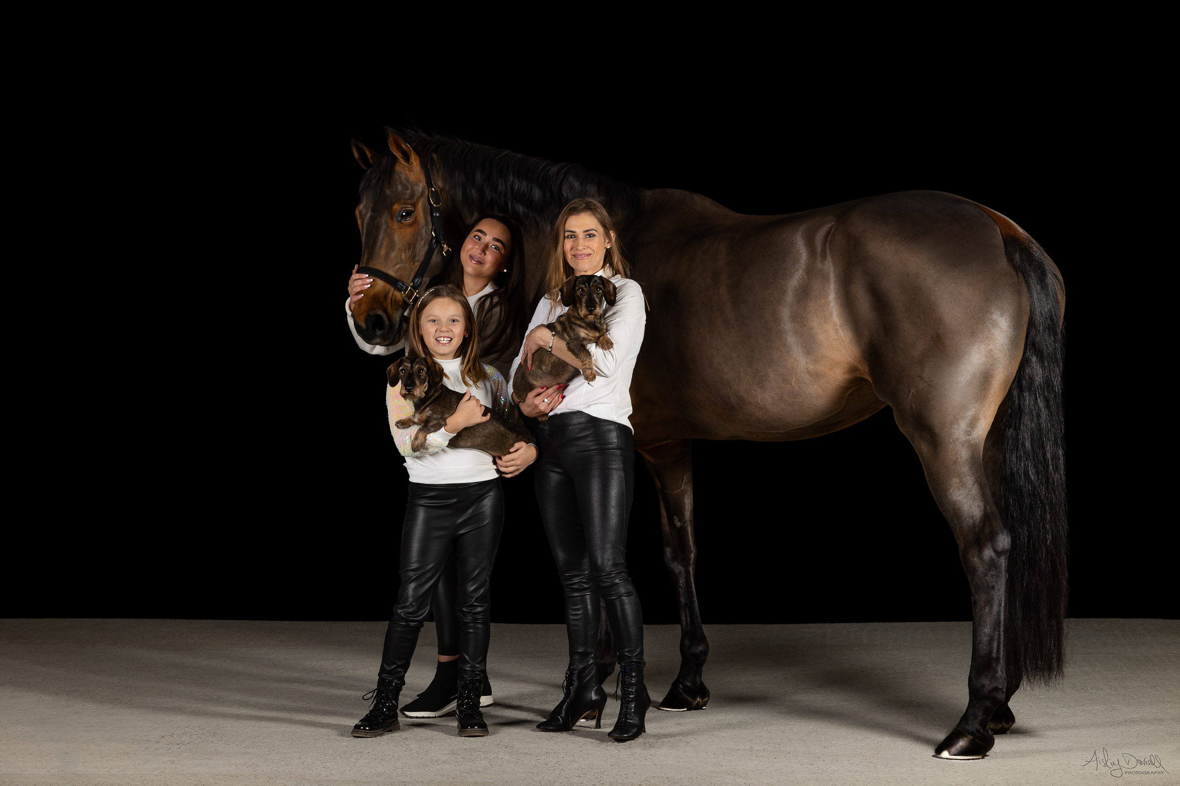 family portrait photo with horse and dogs