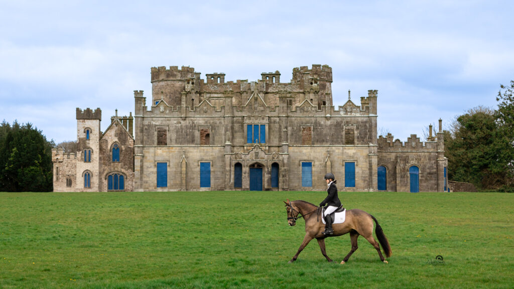 Horse and rider with a castle in the background