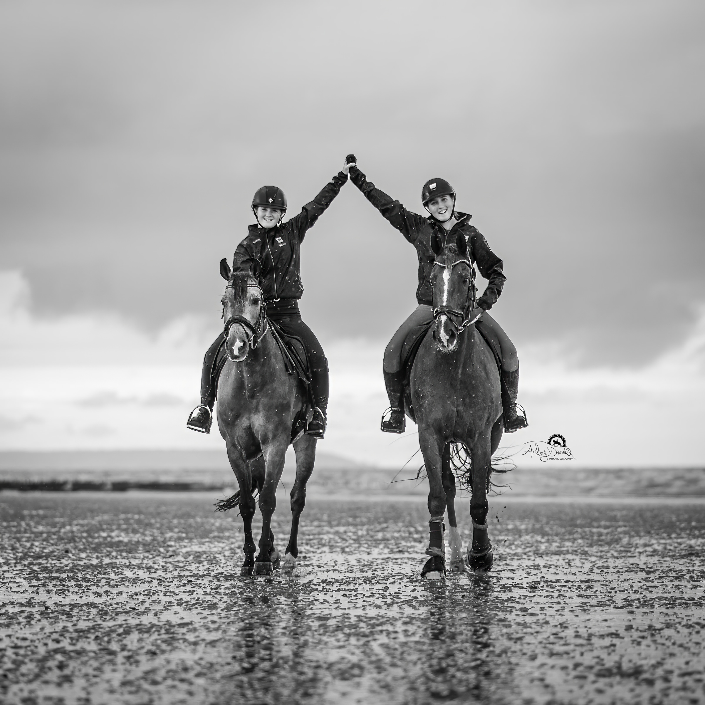 Lifestyle photo of horses on a beach with riders holding hands