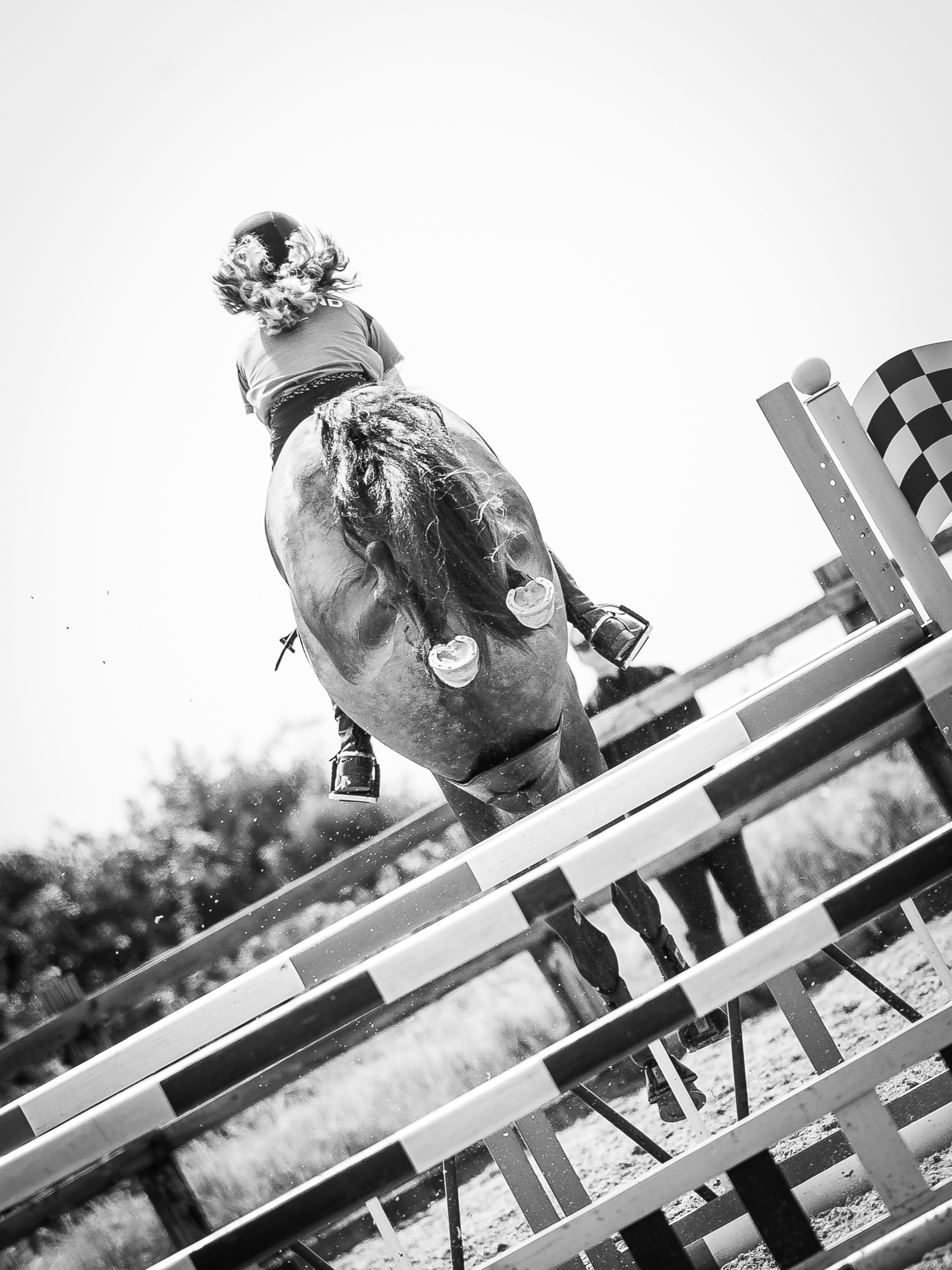 monochrome photo of a horse jumping a show jump from behind with hooves in the air