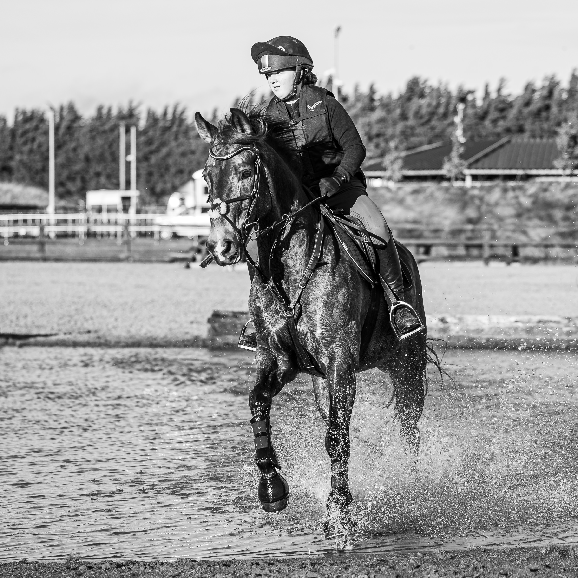 black and white photo of a horse and rider cantering through water