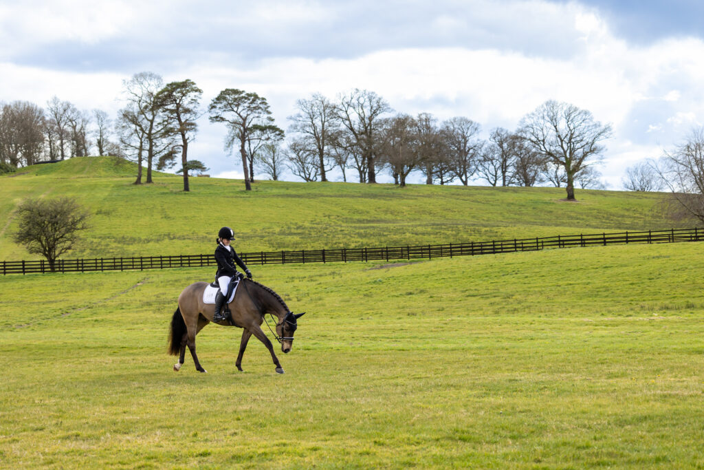 stock image of a horse and rider walking in a green field with trees and a post and rail fence behind them