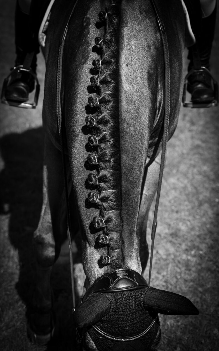 black and white photo of a horse's mane with plaits