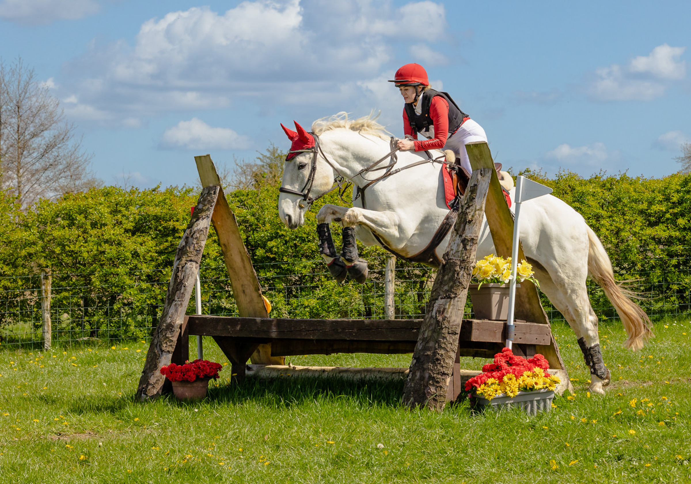grey horse with rider wearing red jumping a cross country fence