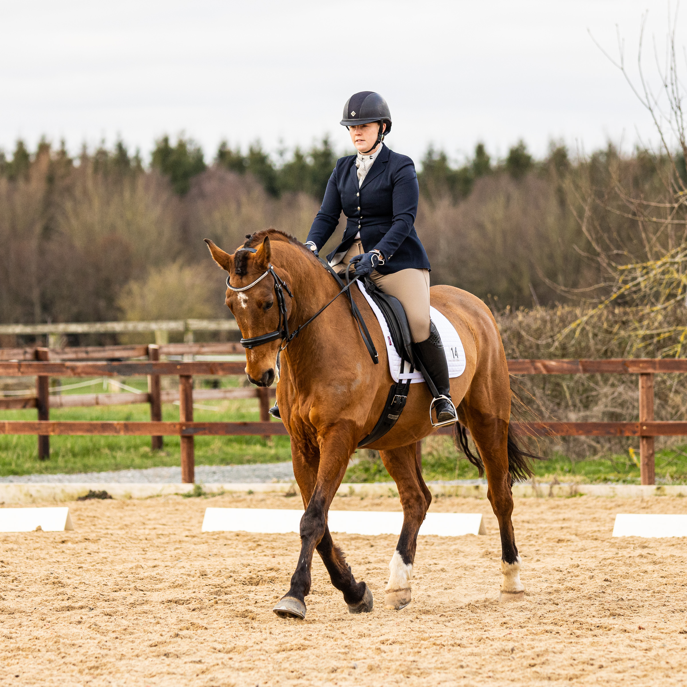 dressage horse and rider in competition