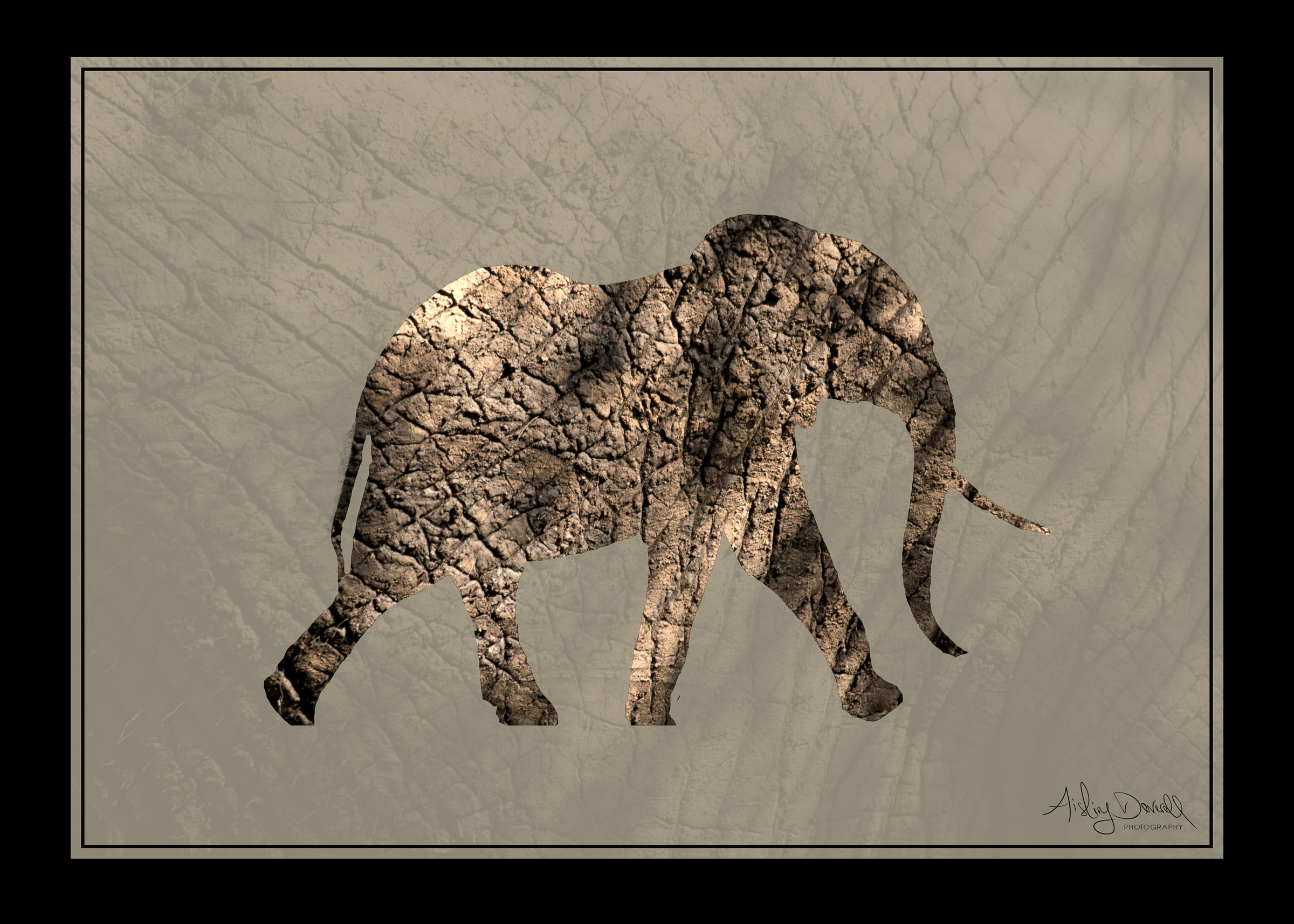 digital art edit by Aisling Deverell Photography with elephant and elephant texture with black border