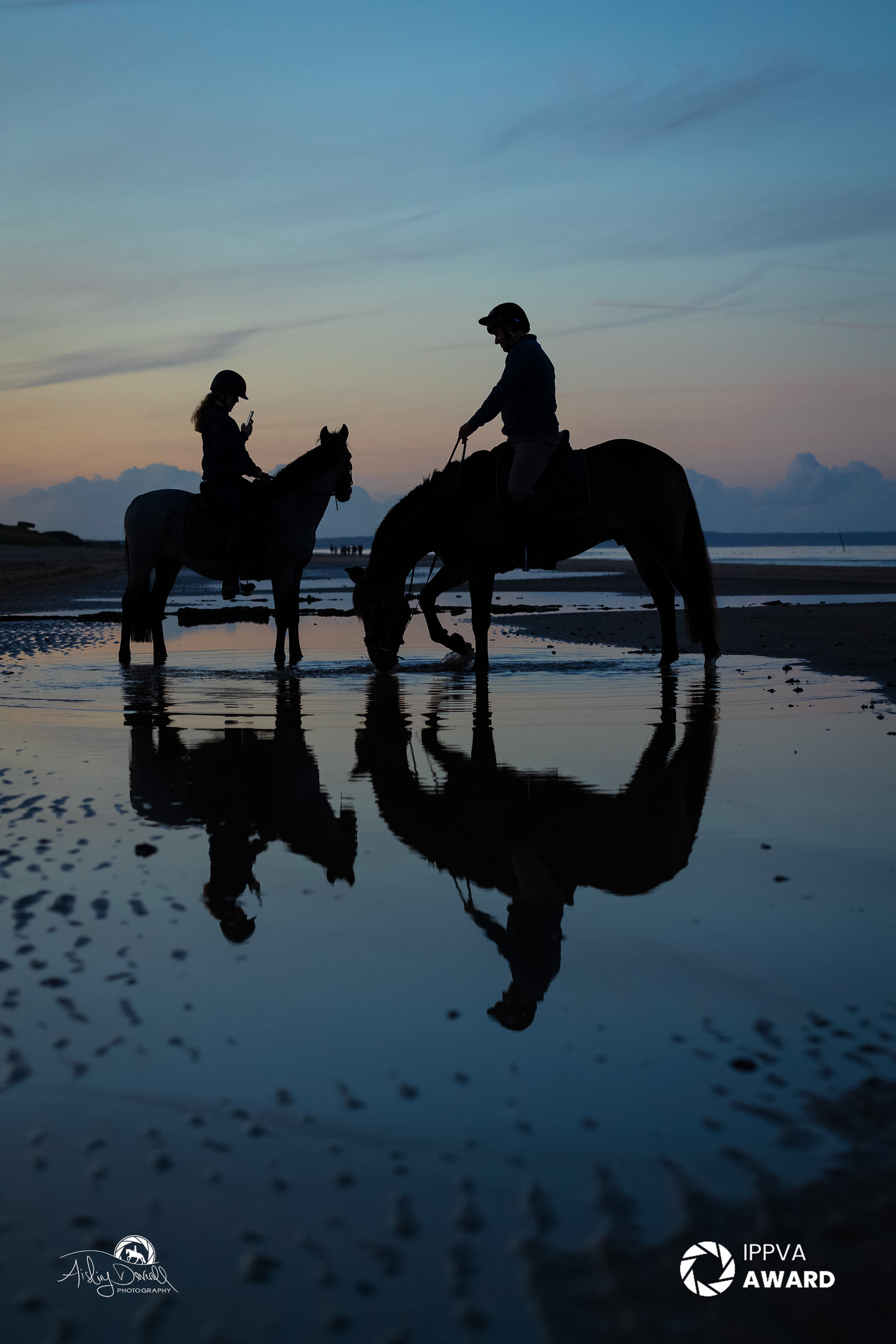 award winning silouette of two horses end riders on a beach at sunset