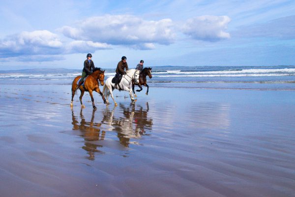 three horses and riders galloping on a beach