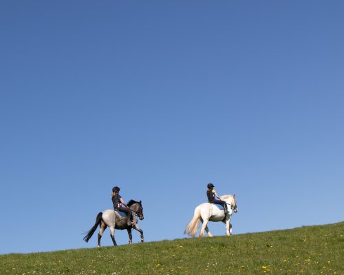 two riders on horses riding uphill in a green field with blue sky