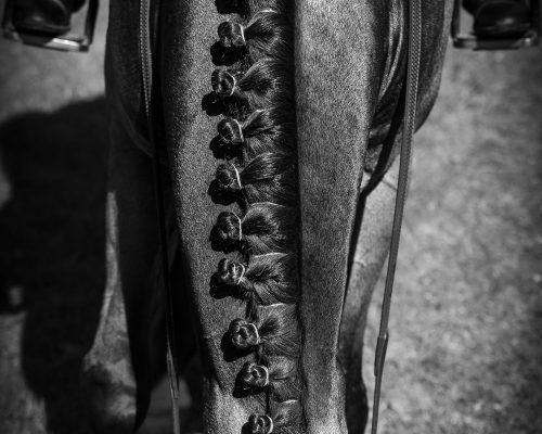 black and white photo of a horse's mane with plaits
