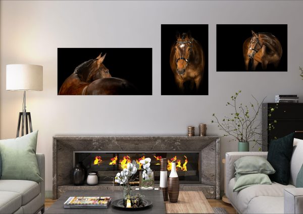 Equine photography wall art mock up with three equine portraits
